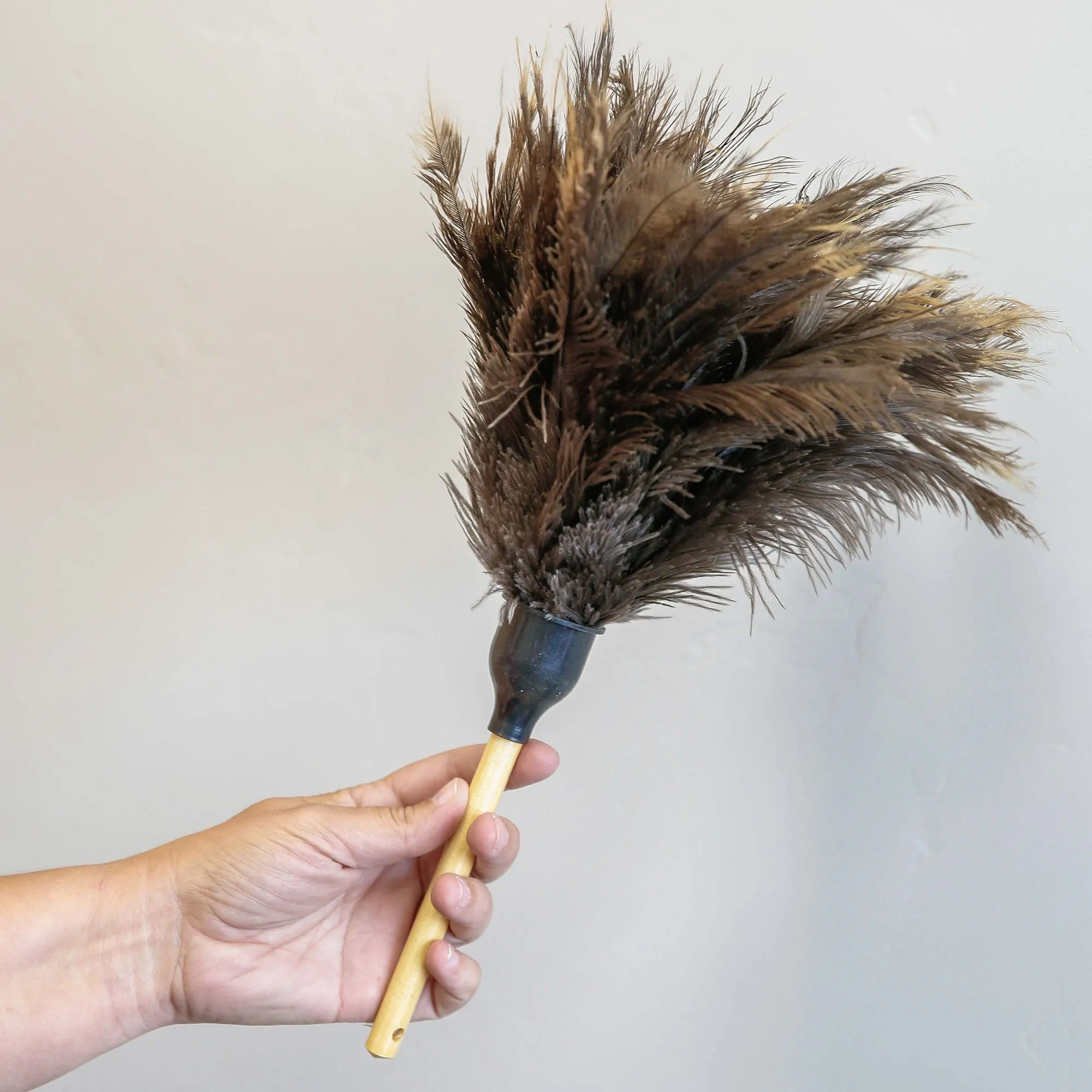 Ostrich Feather Duster