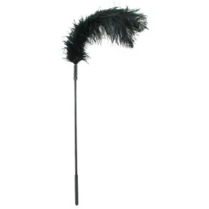 Ostrich Feather